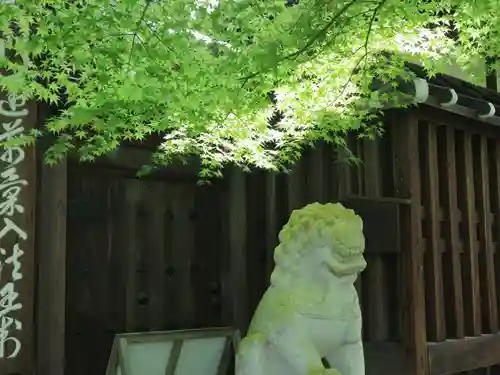 禅林寺（永観堂）(京都府)