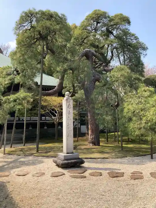 東漸寺(千葉県)