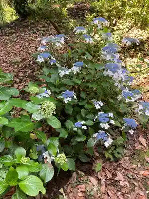 大庭神社(神奈川県)