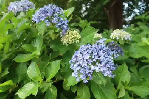 性海寺(愛知県)