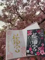 桜神宮の御朱印