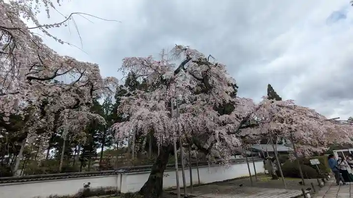 醍醐寺(京都府)