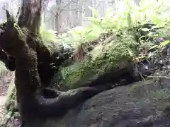 名草厳島神社(栃木県)