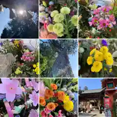 滑川神社 - 仕事と子どもの守り神の手水