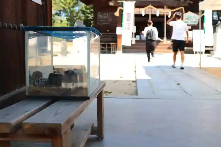 三津厳島神社(愛媛県)