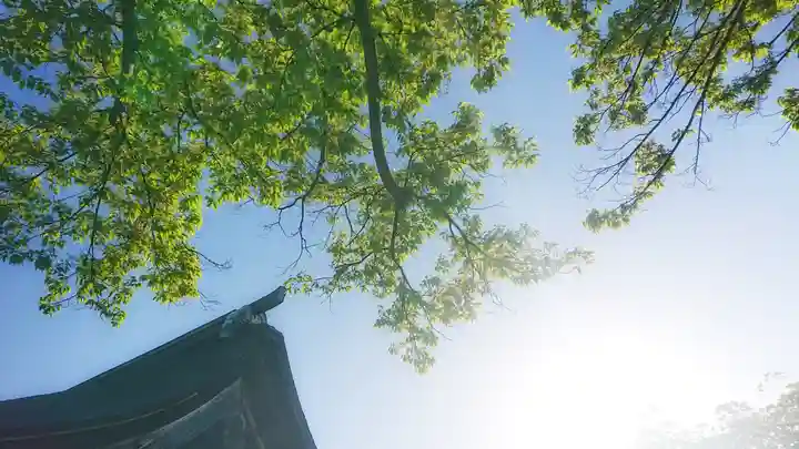 尾張大國霊神社(国府宮)の自然