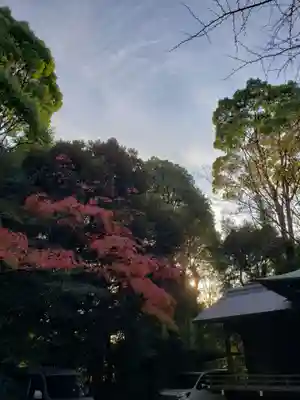 渋谷氷川神社(東京都)