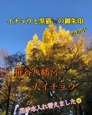 糀谷八幡宮(埼玉県)