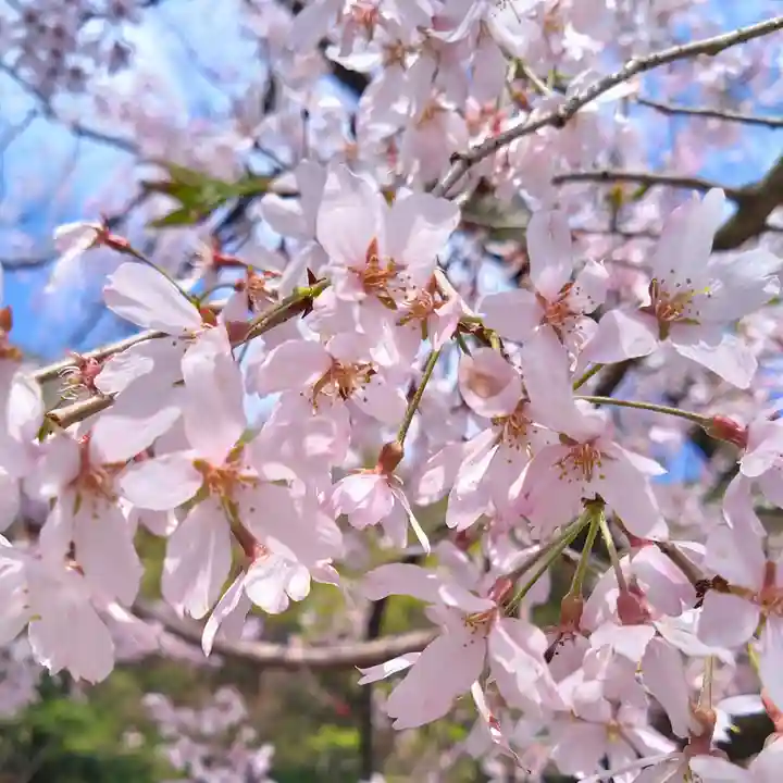 根岸八幡神社(神奈川県)