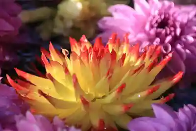 豊景神社の手水舎