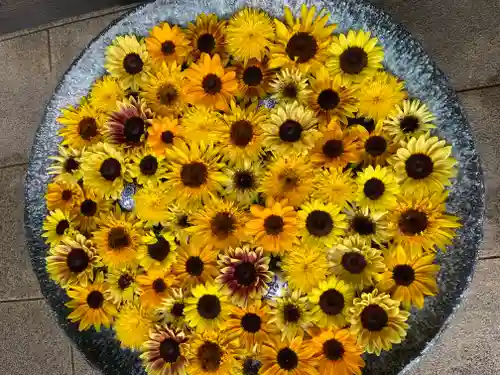 行田八幡神社の手水舎