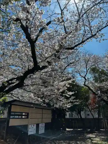 萩中神社の{uncategorized: "未分類", other: "その他", undefined: "問題あり", building: "その他建物", grave: "お墓", sacred_gate: "鳥居", guardian: "狛犬", statue: "像", buddha: "仏像", history: "歴史", nature: "自然", garden: "庭園", animal: "動物", pagoda: "塔", temizu: "手水舎", mountain_gate: "山門・神門", sanctuary: "本殿・本堂", subordinate: "末社・摂社", art: "芸術", scenery: "景色", jizo: "地蔵", ema: "絵馬", goshuin: "御朱印", omikuji: "おみくじ", items: "授与品その他", amulet: "お守り", goshuincho: "御朱印帳", eats: "食事", festival: "お祭り", votive_dance: "神楽", shichigosan: "七五三参", wedding: "結婚式", experience: "体験その他", initially: "初詣", around: "周辺", anti_infection: "感染症対策"}