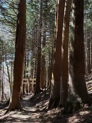 三峯神社奥宮の{uncategorized: "未分類", other: "その他", undefined: "問題あり", building: "その他建物", grave: "お墓", sacred_gate: "鳥居", guardian: "狛犬", statue: "像", buddha: "仏像", history: "歴史", nature: "自然", garden: "庭園", animal: "動物", pagoda: "塔", temizu: "手水舎", mountain_gate: "山門・神門", sanctuary: "本殿・本堂", subordinate: "末社・摂社", art: "芸術", scenery: "景色", jizo: "地蔵", ema: "絵馬", goshuin: "御朱印", omikuji: "おみくじ", items: "授与品その他", amulet: "お守り", goshuincho: "御朱印帳", eats: "食事", festival: "お祭り", votive_dance: "神楽", shichigosan: "七五三参", wedding: "結婚式", experience: "体験その他", initially: "初詣", around: "周辺", anti_infection: "感染症対策"}