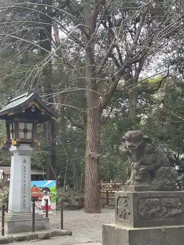 世田谷八幡宮の御朱印