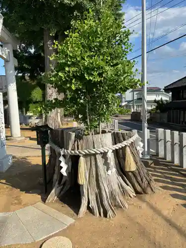 守谷総鎮守 八坂神社の自然