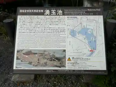 富士山本宮浅間大社(静岡県)