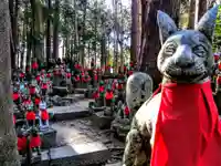 豊川閣 妙厳寺の狛犬