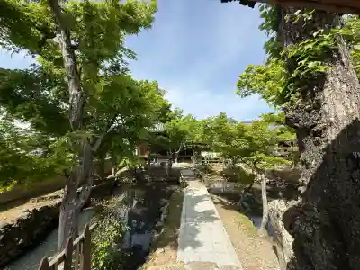 新薬師寺の{uncategorized: "未分類", other: "その他", undefined: "問題あり", building: "その他建物", grave: "お墓", sacred_gate: "鳥居", guardian: "狛犬", statue: "像", buddha: "仏像", history: "歴史", nature: "自然", garden: "庭園", animal: "動物", pagoda: "塔", temizu: "手水舎", mountain_gate: "山門・神門", sanctuary: "本殿・本堂", subordinate: "末社・摂社", art: "芸術", scenery: "景色", jizo: "地蔵", ema: "絵馬", goshuin: "御朱印", omikuji: "おみくじ", items: "授与品その他", amulet: "お守り", goshuincho: "御朱印帳", eats: "食事", festival: "お祭り", votive_dance: "神楽", shichigosan: "七五三参", wedding: "結婚式", experience: "体験その他", initially: "初詣", around: "周辺", anti_infection: "感染症対策"}