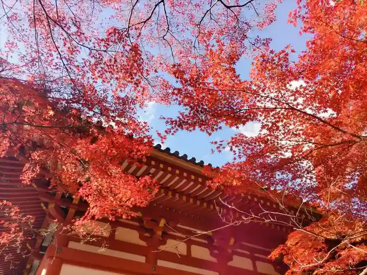 久安寺(大阪府)