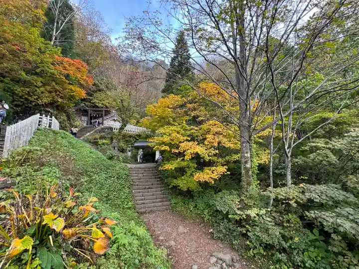 戸隠神社奥社(長野県)