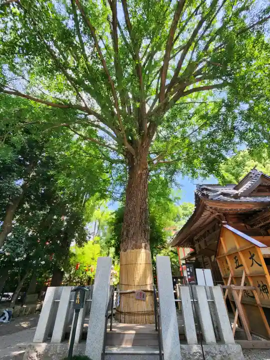 田無神社(東京都)
