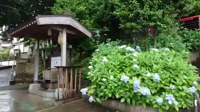 春日神社の手水舎