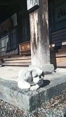 宗林寺(山梨県)