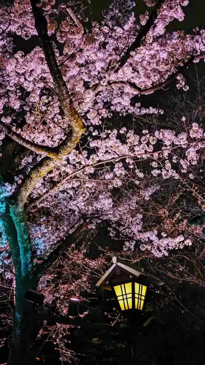 靖國神社の自然