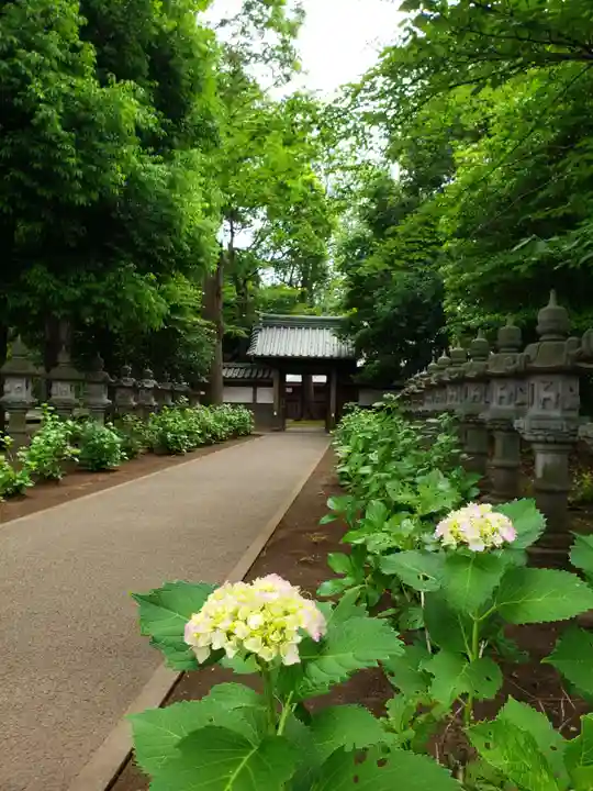 妙法寺(東京都)