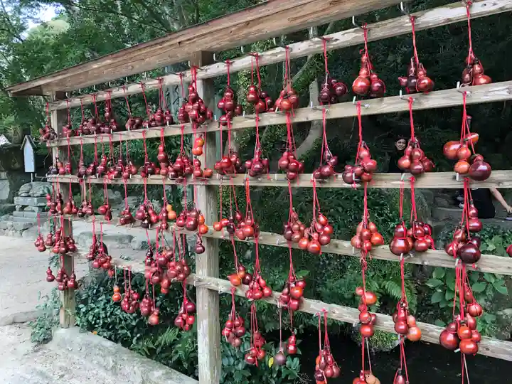 太宰府天満宮(福岡県)