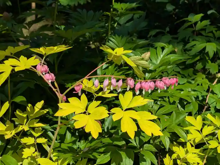 上野東照宮(東京都)