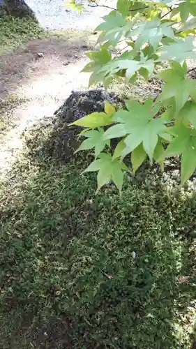 円通院(宮城県)