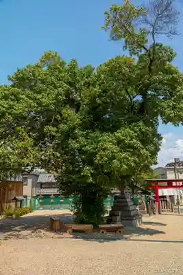 鹿島神社(奈良県)