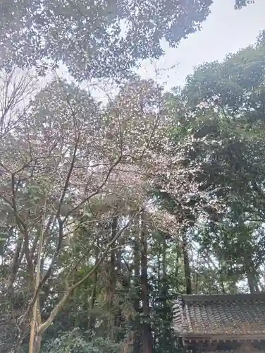 （長良）天神神社(岐阜県)