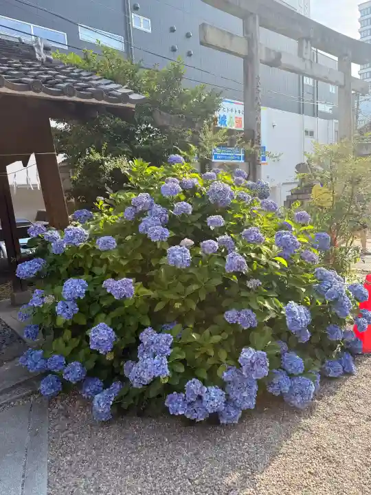 三輪神社(愛知県)