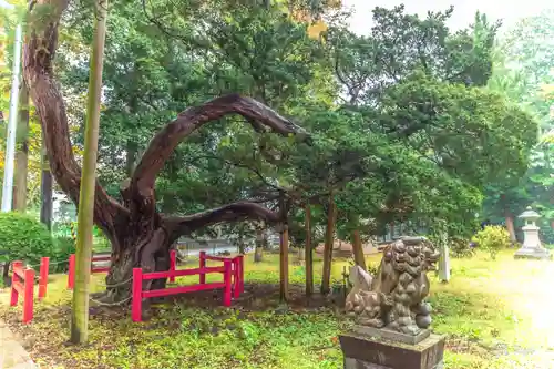 赤城神社(宮城県)