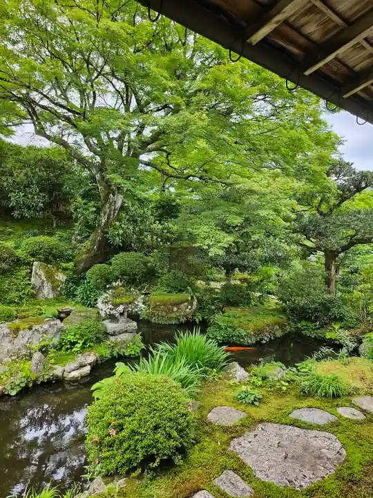 実光院(京都府)