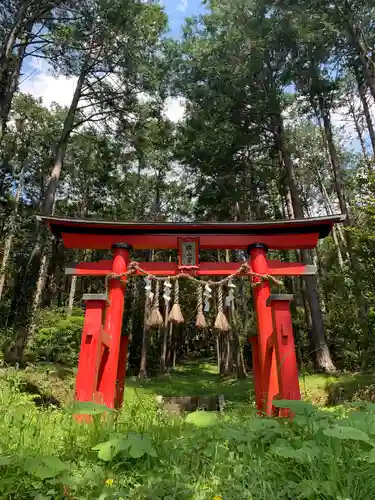 横山神社の鳥居