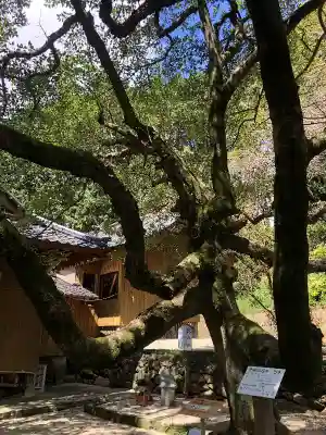 男女神社の自然