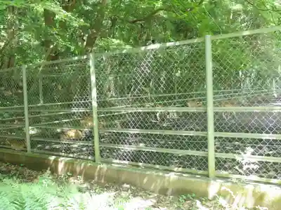 鹿島神宮(茨城県)
