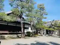 廬山寺(廬山天台講寺)(京都府)