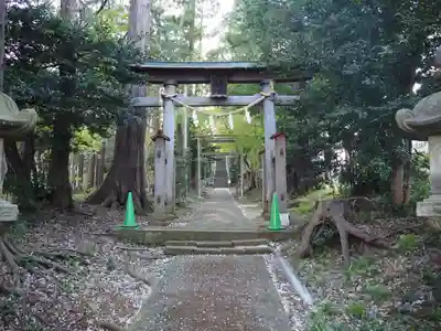 金井八幡神社の鳥居