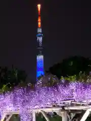 亀戸天神社の景色