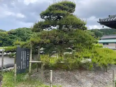 種間寺(高知県)