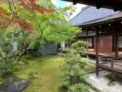 仁和寺の庭園