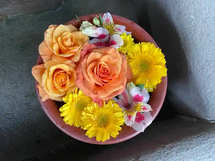 菅生神社の自然