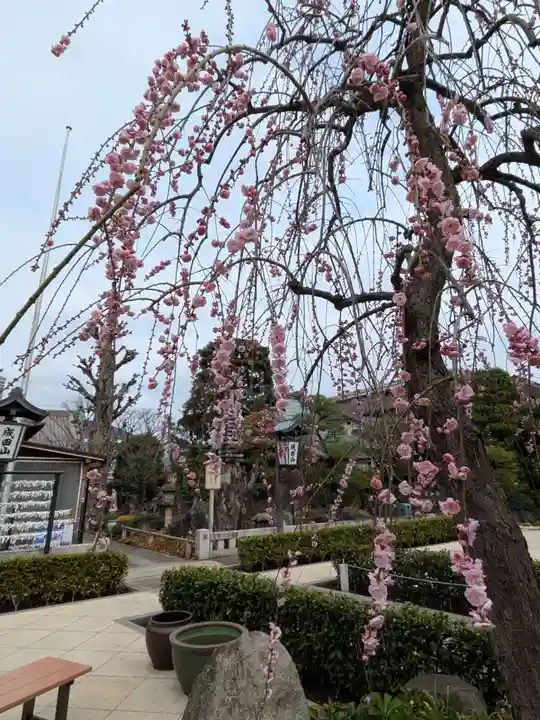 常性寺(東京都)