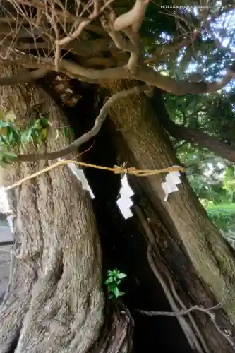 九重神社(埼玉県)
