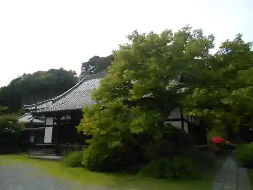 浄光明寺の本殿・本堂