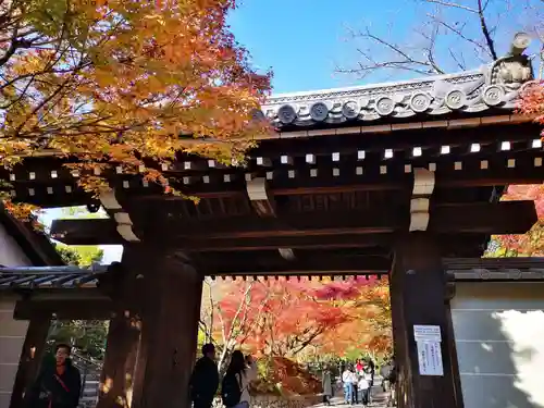 龍安寺の山門